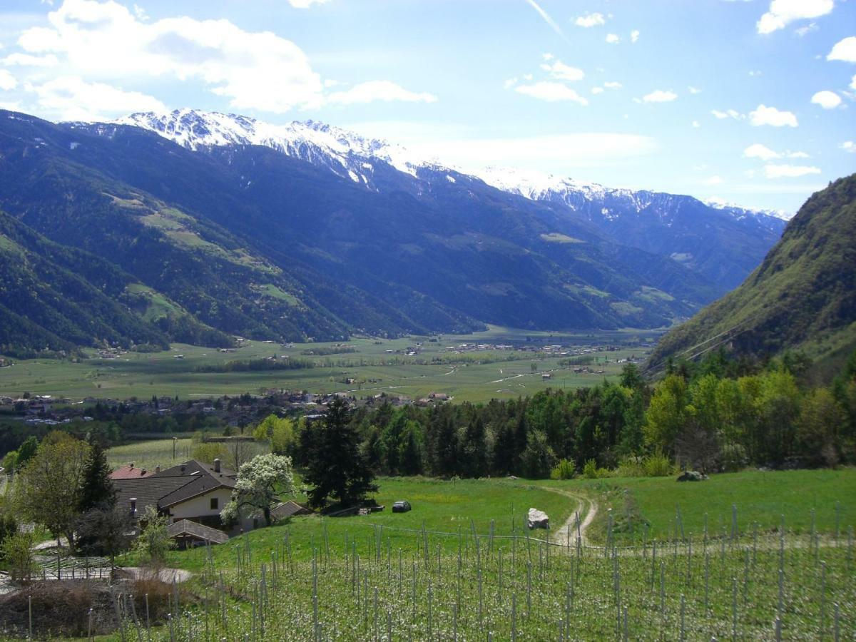 Mareinhof - Urlaub Auf Dem Apfelbauernhof Apartment Парчинес Екстериор снимка
